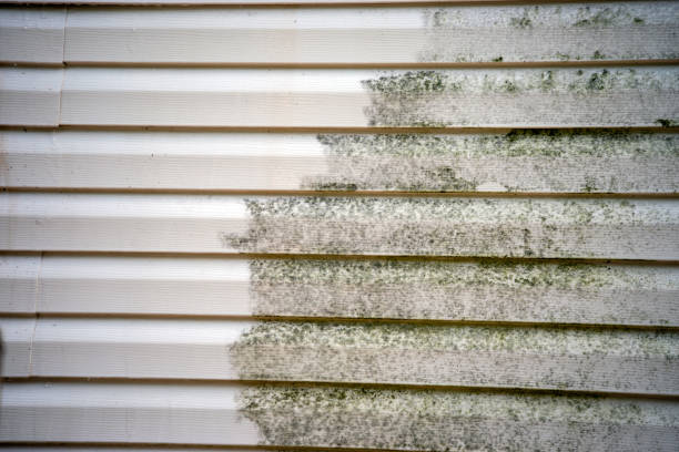 How To Choose The Right Materials for Your Siding Installation in 'San Dimas, CA